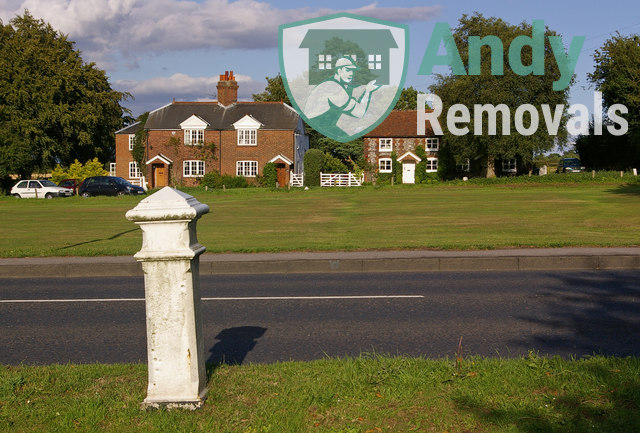 Andy Removal Leaves Green (BR2)
